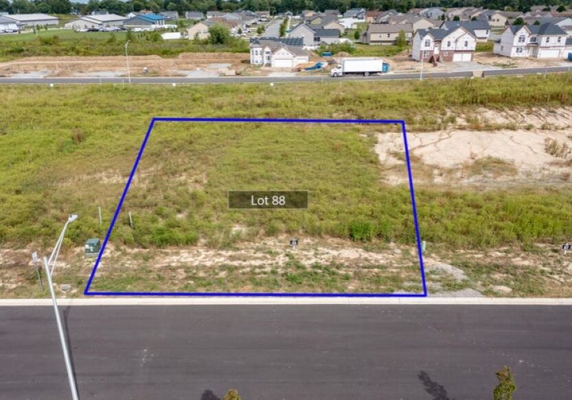 Lot 88 LE